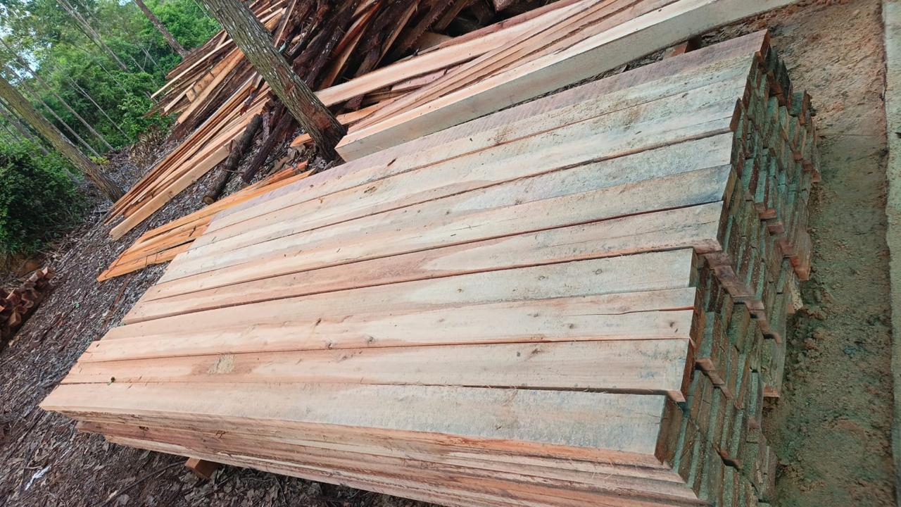Tablones y baretas de madera aserrada